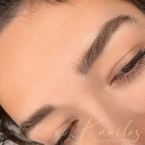 Image00017 Mikrobleidingas Antakiai Plaukeliais Permanentinis Antakiu Makiazas Kaune